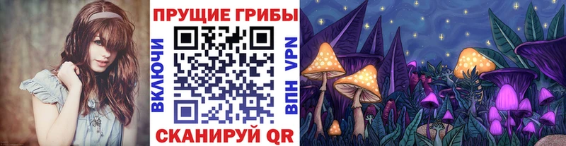 Купить закладки  Можайск  Галлюциногенные грибы GOLDEN TEACHER 